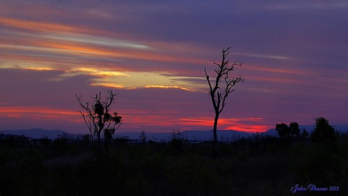 sunset australia queensland northqueensland