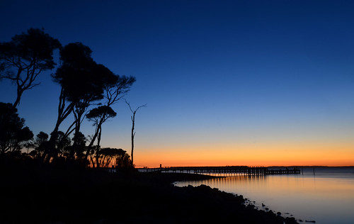 sunset sea beach silhouette treesilhouette evening bay coast pier twilight nikon dusk jetty australia victoria coastal shore vic bluehour teatree grantville titree westernportbay basscoast d5100 nikond5100 phunnyfotos