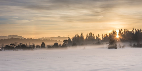 mist misty sunset snow winter kirchsee bavaria cold frosty panorama klosterreutberg sunbeams