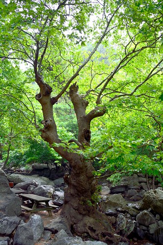 park turkey waterfall woods türkiye national jungle kaz milli hasan boğuldu orman balıkesir şelale parkı dağları sütüven