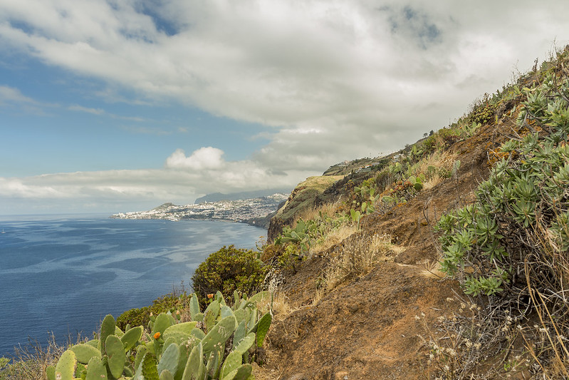 Cliff in Ponta do Garaju - Madeira