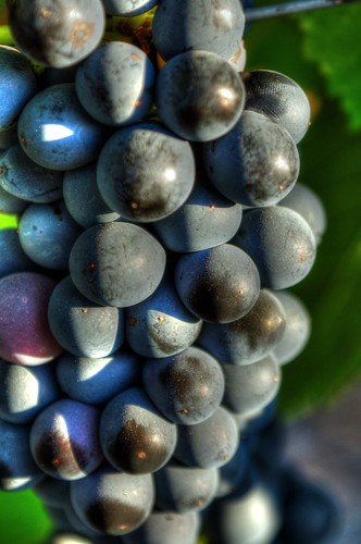 california sunset vineyard estate winery grapes callaway temecula hdr
