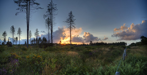 skyscape landscape devon barbedwirefence moorland gorse hdrpanorama pinetreesatsunset 100xthe2014edition 100xlandscapes