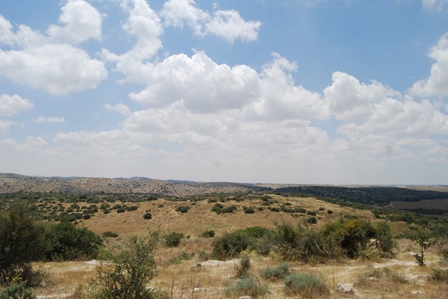 Cuevas de Bet Govrin-Maresha. Israel, Guias-Israel (1)