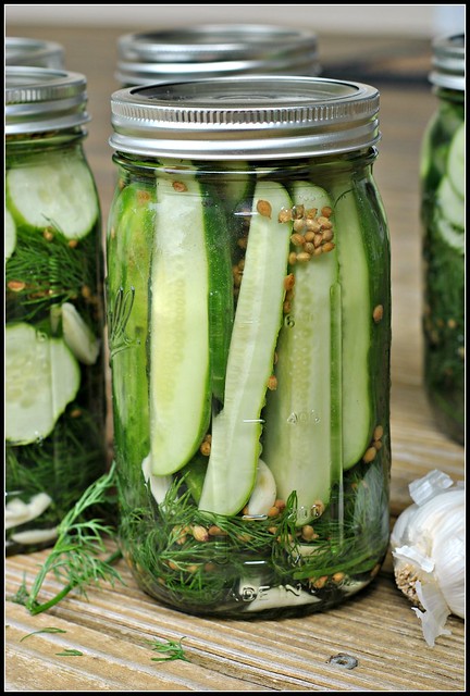 Easy Garlic Dill Refrigerator Pickles 1
