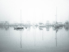 Signs of Winter. Matilda Bay Fog