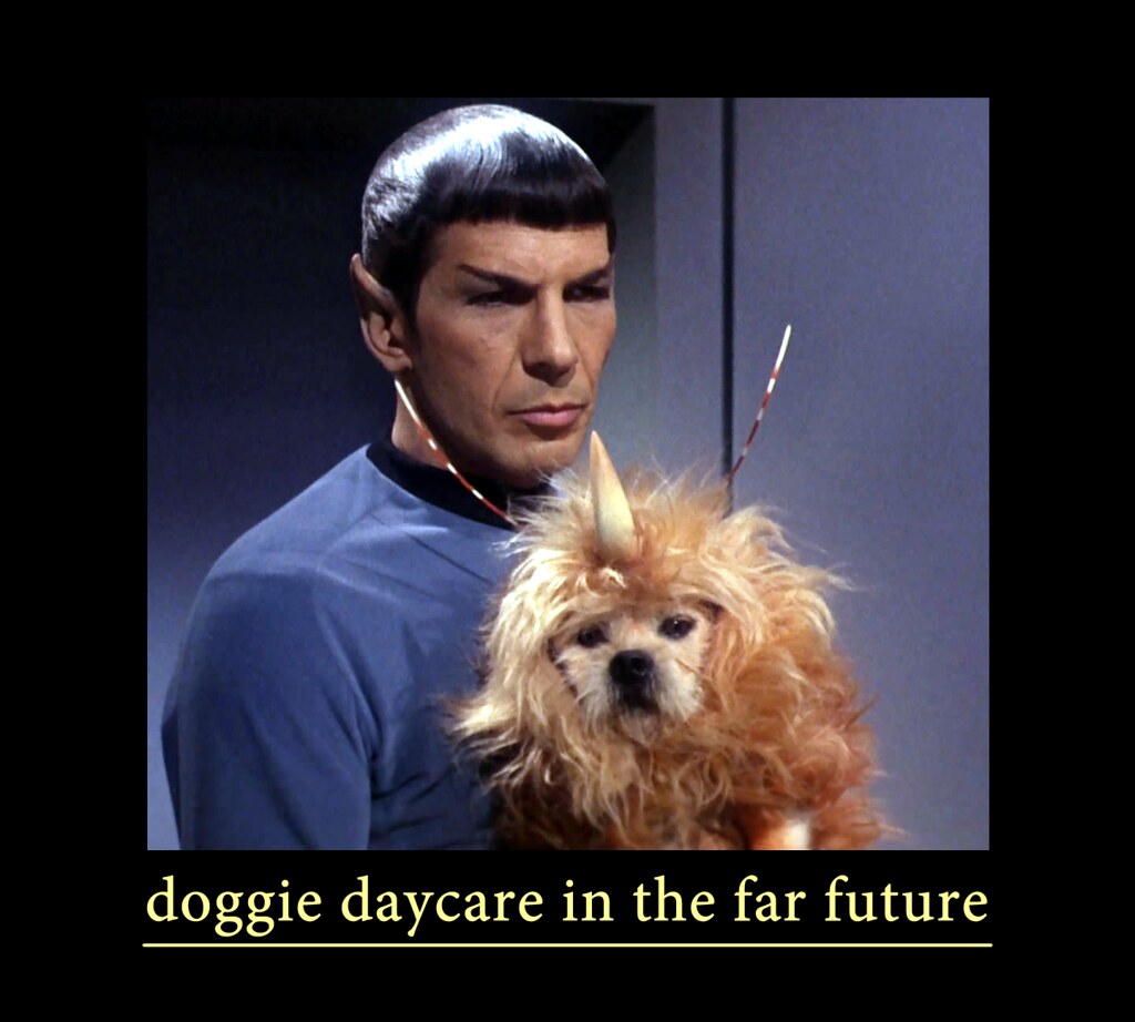 Doggie Daycare In the Future