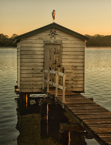 sunrise river nikon df australia queensland boathouse egret goldenhour wheelhouse maroochydore southeastqueensland maroochyriver