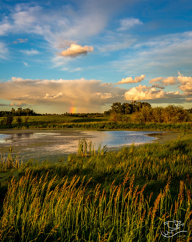 trees sunset canada water clouds landscape rainbow pond alberta drewmayphotography