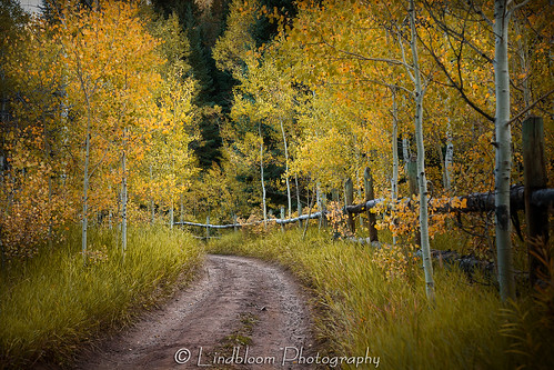 autumn fall colorado lakecreek
