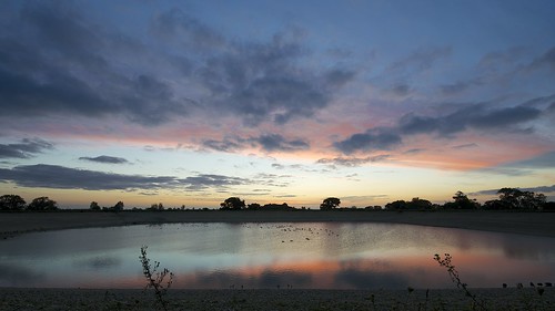 uk canada water birds clouds sunrise dawn geese norfolk reservoir bridgham