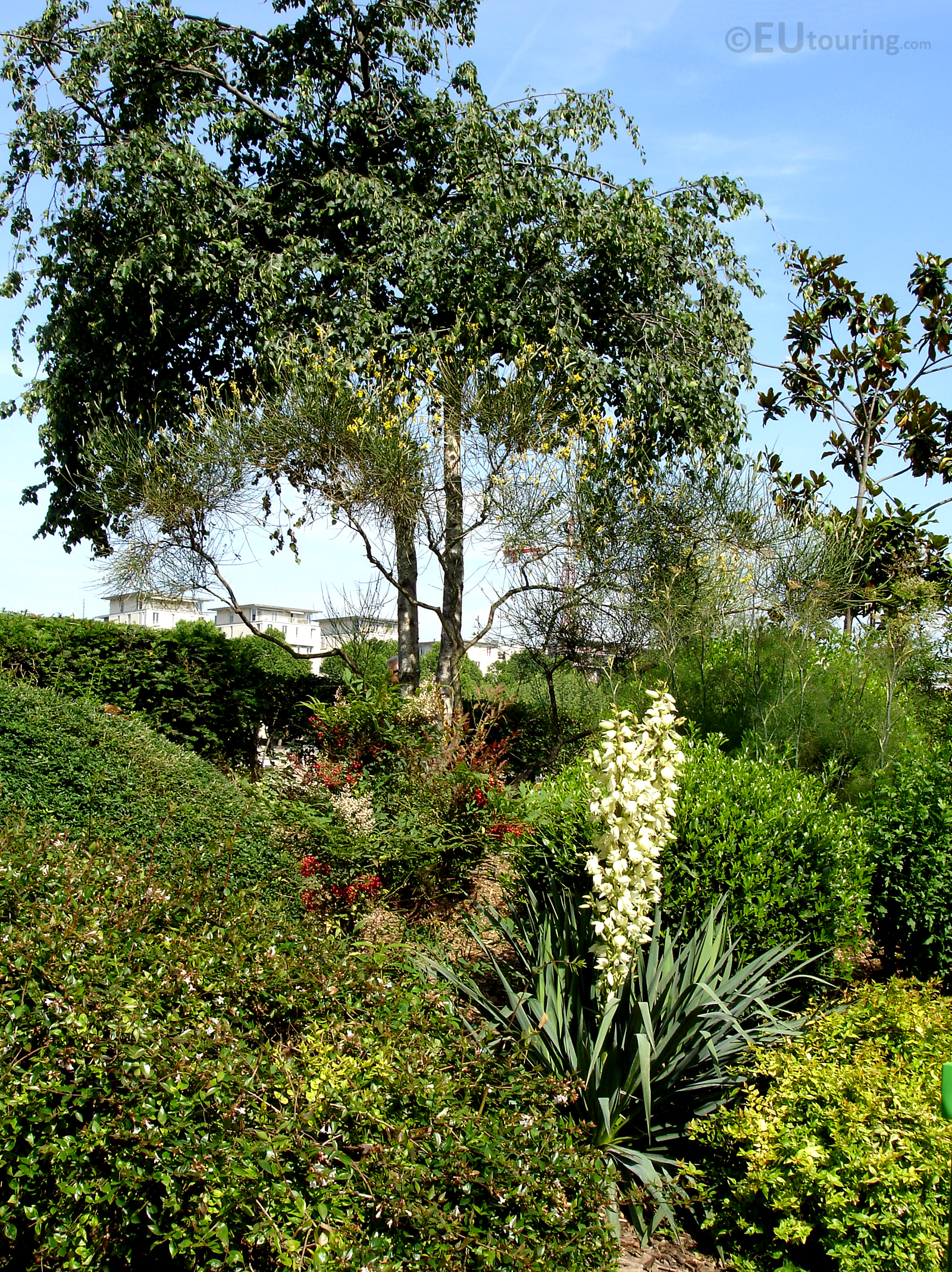 Gardens at Jardin Tino Rossi