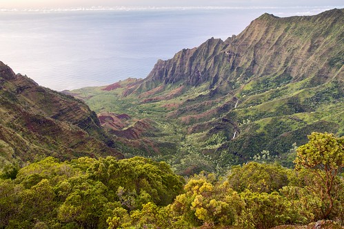 statepark landscape hawaii trail valley kauai kalalauvalley kalalau kokee puuokilalookout piheatrail napalicoaststatepark kaaalahinaridge pihea kokeestatepark