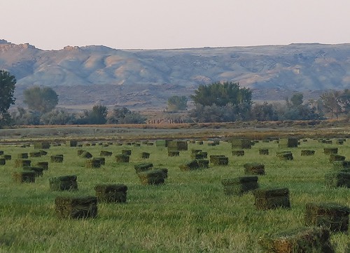 mountain mountains field unitedstates farm farming powell wyoming hay bail