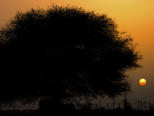 sunset colourful rajasthan thardessert coloursofrajasthan kuldeepchandelphotography
