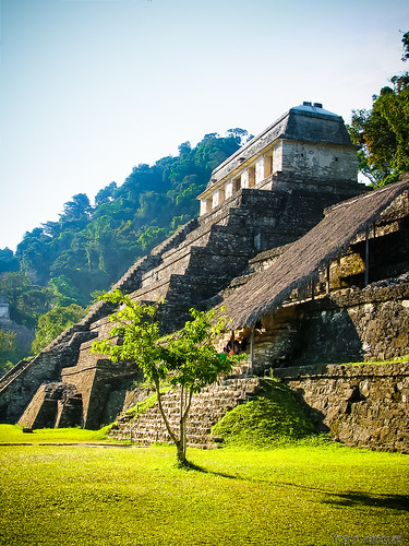old city building tree green grass rock architecture america mexico site ruins maya landmark mexican jungle palenque mexique visitors archaeological chiapas touristplace