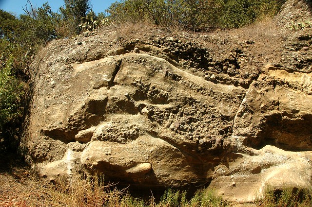 The Syncline