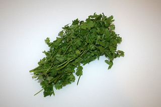 04 - Zutat Koriander / Ingredient coriander