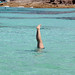 Formentera - sea,summer,beach,mar,legs,playa,verano,formentera,piernas