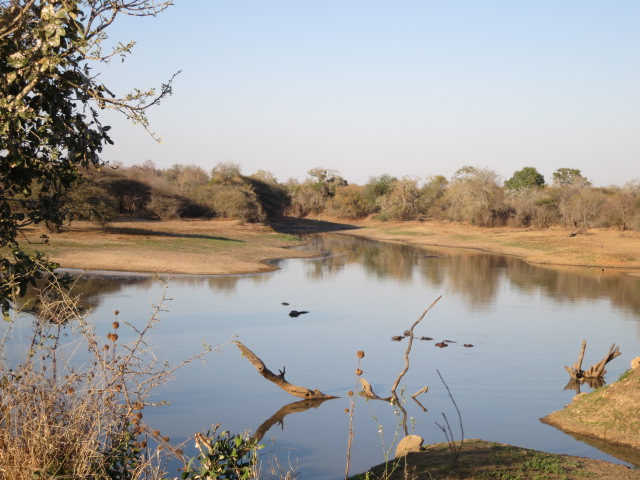 Cuatro Días Por El Sur De Kruger. - Sudáfrica 2014: Ballenas Y 8 Días En Kruger (27)