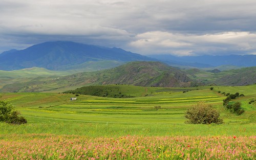 desktop flowers georgia landscape featured akhaltsikhe imereti