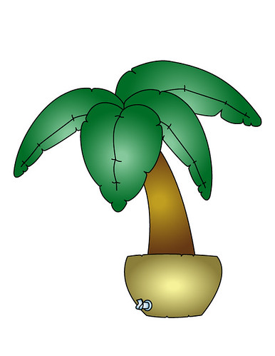 Superficial - palmtree