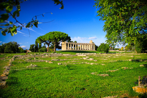 green grass greek temple ruins campania oaks athena peastum