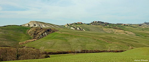 crete tuscany landscape hill panorama clay asciano acconadesert trees grass farm cretesenesi agriculture