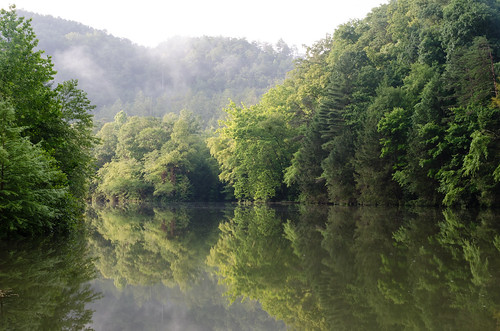 morning green nature river landscape nikon tennessee peaceful calm ocoee