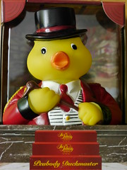 The Duckmaster @ The Peabody Hotel