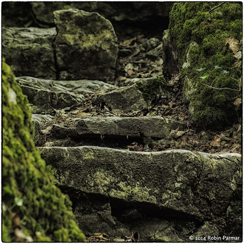 mossy stairway