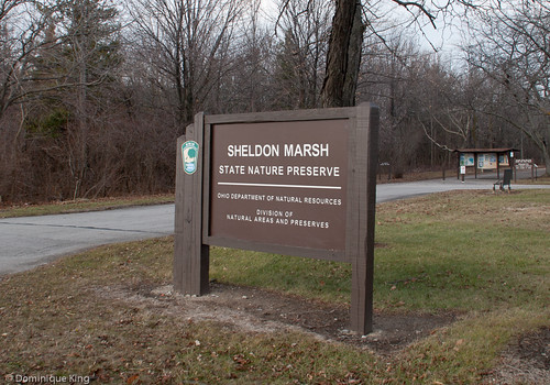 Sheldon Marsh Nature Preserve
