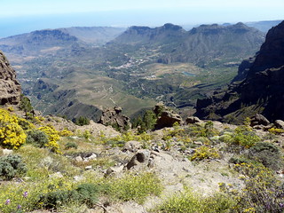 Gran Canaria - Pozo de las Nieves in the Spring