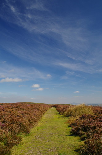blue sun green clouds scenery shropshire path heather hills longmynd pathscaminhos