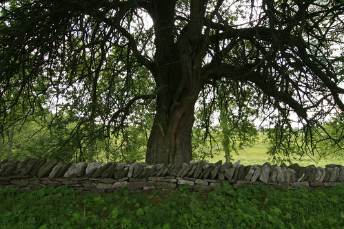 Stone Fence, Shakertown at Pleasant Hill, KY
