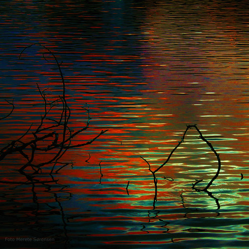 morning lake water colors norway contrast sunrise square morninglight stavanger norge colorful stripes branches small highcontrast edit rogaland breiavannet breiavatnet sliderssunday branchesinwater stavangercentre stripesofmorninglight