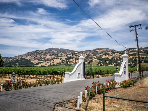 Wine Country and Coastal Highway-007