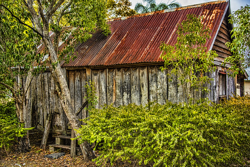 trees abandoned architecture buildings country