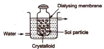 CBSE Class 11 Chemistry Notes Colloidal State