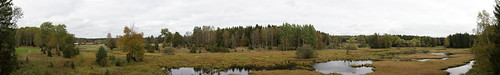 panorama nationalpark sweden haninge tyresta wetland