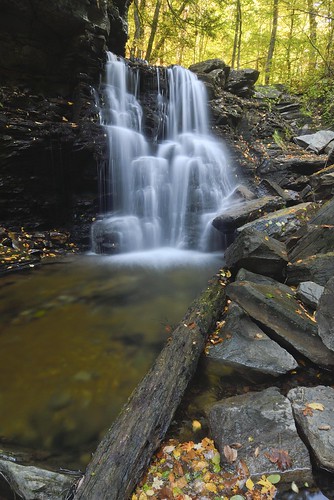nikon d500 landscape nature bearrun falls waterfall rocks fall leaves color tree