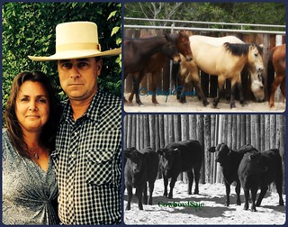 Tom & Traci Davis ~ TnT Ranch