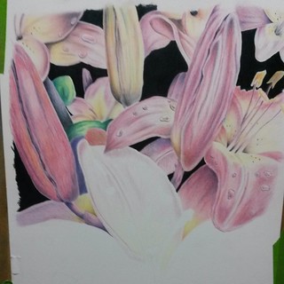 Only managed one petal and a bit of another today #art #colouredpencil #flowers #lilies #coloredpencil  #pink