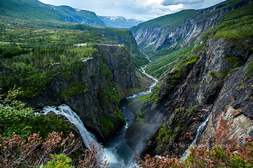 water norway river waterfall wildlife natur traveling idyllic hordaland scenics traveldestinations vøringfossen voringfossen