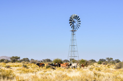 Farming in Namibia