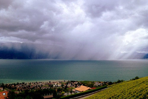 rain clouds schweiz switzerland vineyard day suisse pluie wolken lausanne nuage leman léman vigne regen lakegeneva lavaux rebe genfersee grandvaux