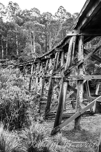A study of the Puffing Billy Trestle Bridge