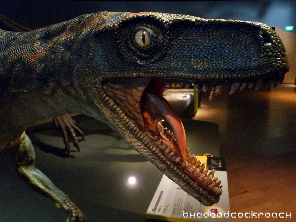 artscience museum, dawn to extinction, dinosaurs, exhibition, marina bay sands, mbs, singapore,herrerasaurus,fossil