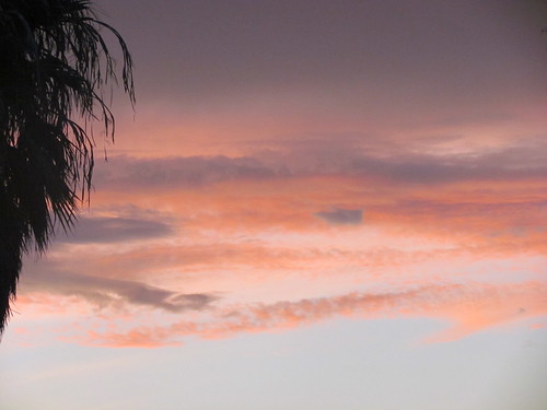 blue sunset sky clouds gold texas purple palmtrees riverbend texassunset