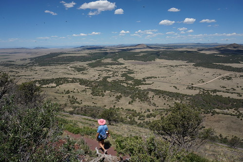 newmexico hat volcano bugs pinkhat capulin capulinvolcanonationalmonument capulinvolcano gettinghigh2014